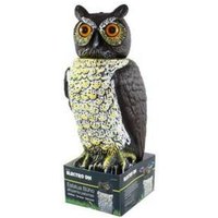 Taubenabwehrende Eulenstatue Taubenabwehrende Eulenstatue von ELECTRO DH