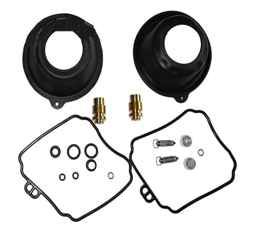 ELEKMPMGTD Membranvergaser-Reparatursatz Für AXC-25 Und Für V-Star XV250 Vergaser-Reparatursatz von ELEKMPMGTD
