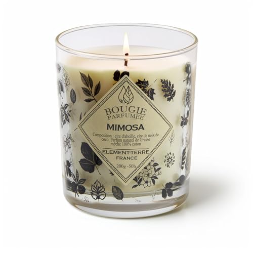ELEMENT-TERRE Duftkerze, 200 g, 50 Stunden, Duft Mimosa von ELEMENT-TERRE