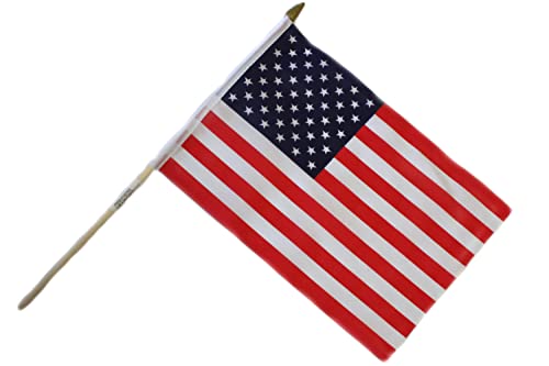 Fahne Flagge 21x16cm mit 30 cm Holzstab Handfahne Stockflagge Banner Fan (USA) von ELLUG