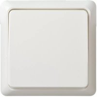 Elso Taster 10A komplett RENOVIERUNG Schraubklemme reinweiß 512104 von ELSO