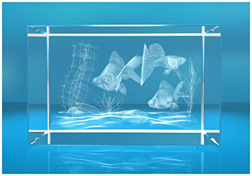 ELUNO 3D Glasquader I Aquarium mit Fischen und Pflanzen von ELUNO