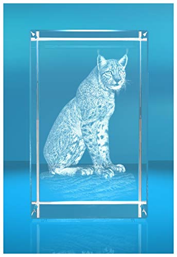 ELUNO 3D Glasquader I Luchs ELUNO 3D Glasquader I Luchs von ELUNO