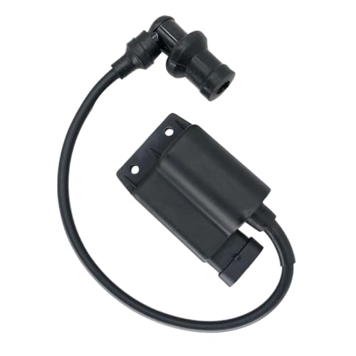 4 Stifte Ignitor kompatibel mit 50cc 4t wie Fly Liberty 50 und LX50 von ELUPNMF