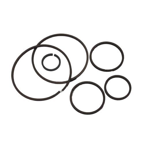 ELUPNMF 6PCS AL4 DPO Getriebe Öl Dichtung Ringe Kit Kompatibel Mit 206 207 307 40 Fahrzeug Zubehör von ELUPNMF