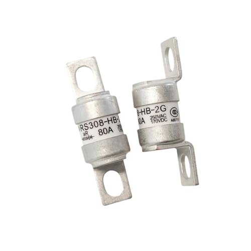 ELZNSQQK 1 STÜCKE RS308-HB-2G 16A 20A 32A 50A 63A 80A 100A 125A 160A 180A 250VAC 170VDC SICHERUNG(RS308-HB-2G 16A) von ELZNSQQK