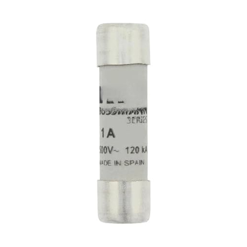 ELZNSQQK 10PCS Sicherung C10G0.5 C10G1 C10G2 C10G4 C10G6 C10G8 C10G10 C10G12 C10G16 C10G20 C10G25 C10G32 0.5A-32A 10 * 38mm(C10G4 4A) von ELZNSQQK