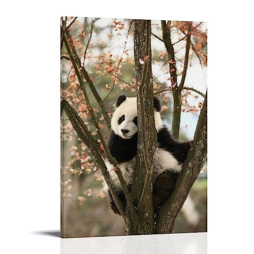 ELedvb Niedlicher Panda in einem Baum, Leinwand-Poster, dekoratives Gemälde, Wandposter und Kunstdruck, modernes Familienschlafzimmer-Dekor-Poster, 20 x 30 cm von ELedvb