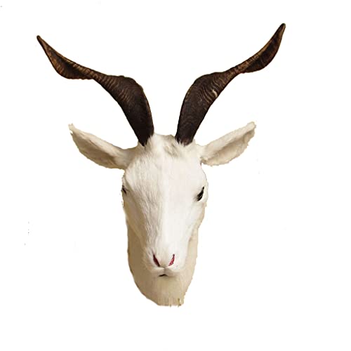 ELzEy Simulation Ziegenkopf Simulation Schafkopf Modell Tierkopf Wanddekoration Wandhängende Wandhänge ELzEy Simulation Ziegenkopf Simulation Schafkopf Modell Tierkopf Wanddekoration Wandhängende Wandhänge von ELzEy