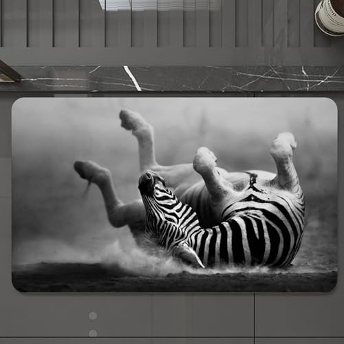 EMCLKS Badteppich rutschfeste,weicher Badezimmerteppich Badematte Badvorleger für Dusche,Badewanne und Toilette, Zebra wälzt Sich im Staub Künstlerische Wilde Säugetieraktivität,60x90 cm von EMCLKS