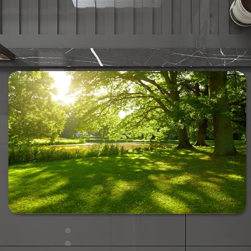 EMCLKS Badteppich rutschfeste,weicher Badezimmerteppich Badematte Badvorleger für Dusche,Badewanne und Toilette,Grün, Sommerpark in Hamburg Deutschland Bäume Sonnenlicht Wald Naturmotiv,60x90 cm von EMCLKS