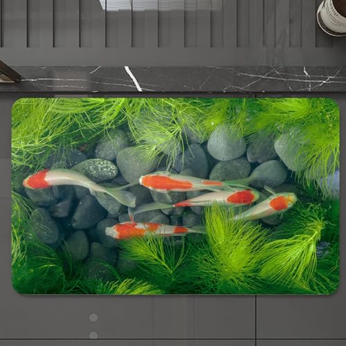 EMCLKS Badteppich rutschfeste,weicher Badezimmerteppich Badematte Badvorleger für Dusche,Badewanne und Toilette,Karpfen Koi Fisch Teich Unkraut Stein Wasser Oriental,60x90 cm von EMCLKS