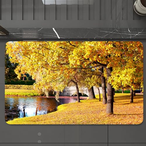 EMCLKS Badteppich rutschfeste,weicher Badezimmerteppich Badematte Badvorleger für Dusche,Badewanne und Toilette,Natur, schöner Herbstwald im Stadtpark Sankt Petersburg, Russland, ländliche,60x90 cm EMCLKS Badteppich rutschfeste,weicher Badezimmerteppich Badematte Badvorleger für Dusche,Badewanne und Toilette,Natur, schöner Herbstwald im Stadtpark Sankt Petersburg, Russland, ländliche,60x90 cm von EMCLKS