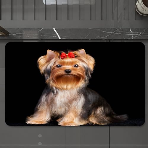 EMCLKS Badteppich rutschfeste,weicher Badezimmerteppich Badematte Badvorleger für Dusche,Badewanne und Toilette,Yorkshire Terrier isoliert auf dem schwarzen Hintergrund,60x90 cm von EMCLKS