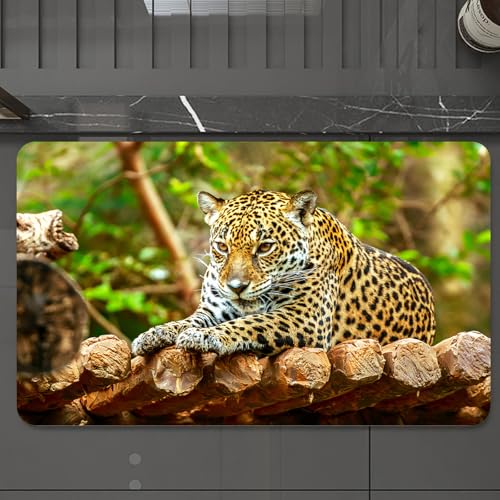 EMCLKS Badteppich rutschfeste,weicher Badezimmerteppich Badematte Badvorleger für Dusche,Badewanne und Toilette,Zoo, Jaguar auf einem Holzboden Wildtiere,60x90 cm EMCLKS Badteppich rutschfeste,weicher Badezimmerteppich Badematte Badvorleger für Dusche,Badewanne und Toilette,Zoo, Jaguar auf einem Holzboden Wildtiere,60x90 cm von EMCLKS
