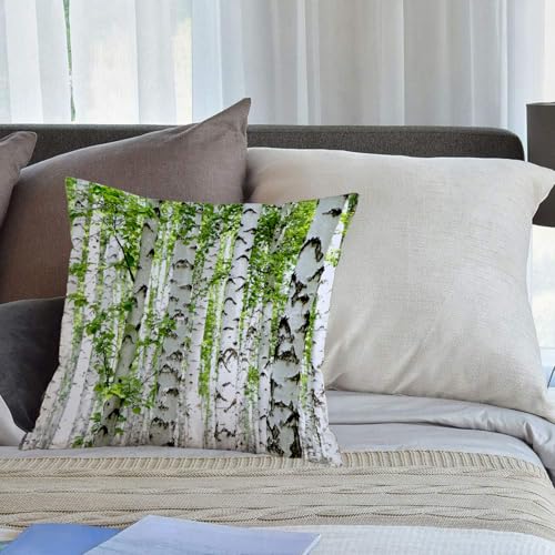 EMCLKS Designs Kissenbezug Männer/Frauen/Jungen/Mädchen Wohnzimmer Schlafzimmer Sofa Stuhl Kissenbezüge,Wald, Birken im Wald, Sommer, Wildtiere, Natur, Motiv: Bild, Blau, Hellbraun,40x40cm EMCLKS Designs Kissenbezug Männer/Frauen/Jungen/Mädchen Wohnzimmer Schlafzimmer Sofa Stuhl Kissenbezüge,Wald, Birken im Wald, Sommer, Wildtiere, Natur, Motiv: Bild, Blau, Hellbraun,40x40cm von EMCLKS