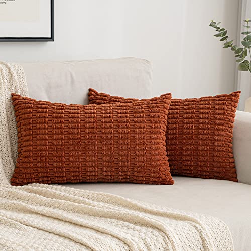 EMEMA Kordsamt Kissenbezüge Herbst Dekorative Sofakissen Moderne Kissenhüllen 30x50 cm Dekokissen Weicher Zierkissenbezug für Wohnzimmer Sofa Schlafzimmer 2er Set Karamell von EMEMA