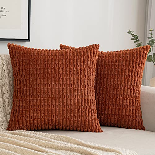 EMEMA Kordsamt Kissenbezüge Herbst Dekorative Sofakissen Moderne Kissenhüllen 45x45 cm Dekokissen Weicher Zierkissenbezug für Wohnzimmer Sofa Schlafzimmer 2er Set Karamell von EMEMA