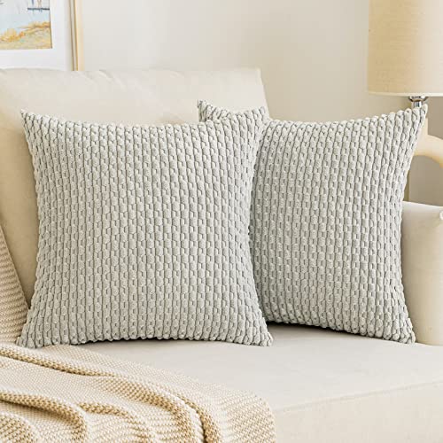 EMEMA Kordsamt Kissenbezüge Sofakissen 45x45 cm Moderne Kissenhüllen Dekorative Dekokissen Weicher Zierkissenbezug für Wohnzimmer Sofa Schlafzimmer 2er Set Hellgrau von EMEMA