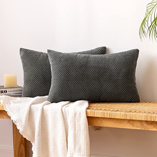 EMEMA Kordsamt Kissenbezug Dekorative Granulat Sofakissen Dekokissen Kissenbezüge Kissenhülle Couchkissen Überwurf Kissen Bezug Zierkissen für Couch Sofa Wohnzimmer 2er Set 30x50 cm Dunkelgrau von EMEMA