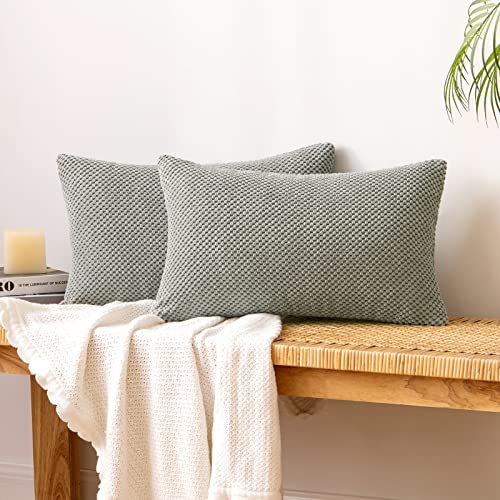 EMEMA Kordsamt Kissenbezug Dekorative Granulat Sofakissen Dekokissen Kissenbezüge Kissenhülle Couchkissen Überwurf Kissen Bezug Zierkissen für Couch Sofa Wohnzimmer 2er Set 30x50 cm Hellgrau von EMEMA