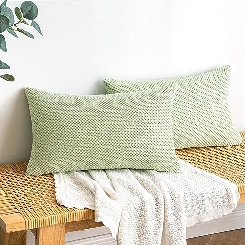 EMEMA Kordsamt Kissenbezug Dekorative Granulat Sofakissen Dekokissen Kissenbezüge Kissenhülle Couchkissen Überwurf Kissen Bezug Zierkissen für Couch Sofa Wohnzimmer 2er Set 30x50 cm Hellgrün von EMEMA