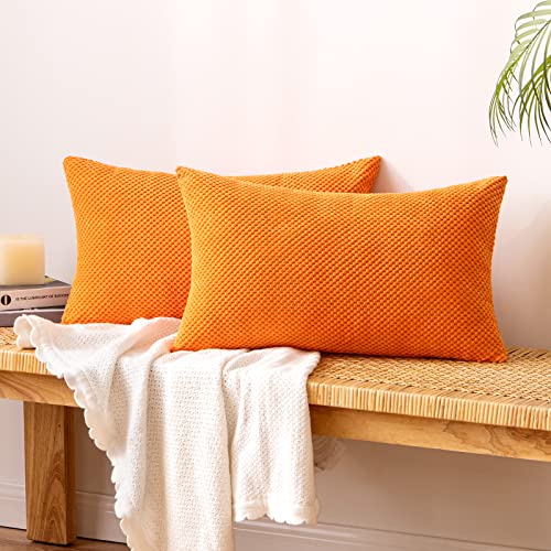 EMEMA Kordsamt Kissenbezug Herbst Dekorative Granulat Sofakissen Dekokissen Kissenbezüge Kissenhülle Couchkissen Überwurf Kissen Bezug Zierkissen für Couch Sofa Wohnzimmer 2er Set 40x60 cm Orange von EMEMA