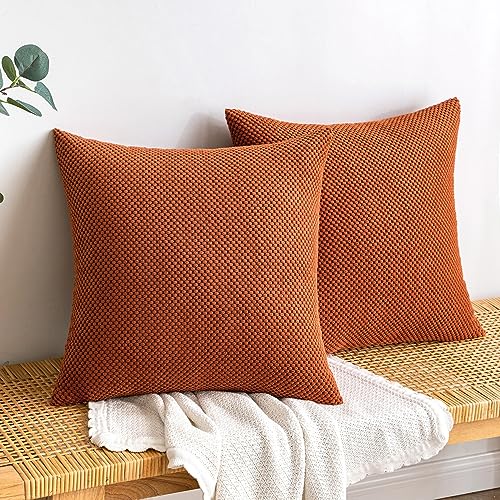 EMEMA Kordsamt Kissenbezug Herbst Dekorative Granulat Sofakissen Dekokissen Kissenbezüge Kissenhülle Couchkissen Überwurf Kissen Bezug Zierkissen für Couch Sofa Wohnzimmer 2er Set 45x45 cm Karamell von EMEMA