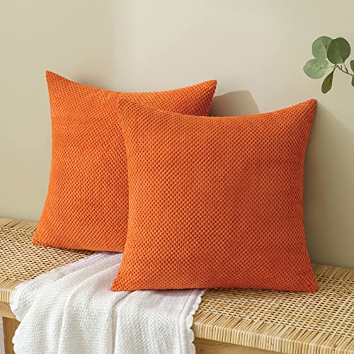 EMEMA Kordsamt Kissenbezug Herbst Dekorative Granulat Sofakissen Dekokissen Kissenbezüge Kissenhülle Couchkissen Überwurf Kissen Bezug Zierkissen für Couch Sofa Wohnzimmer 2er Set 60x60 cm Orange von EMEMA