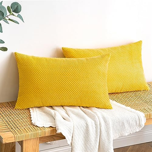 EMEMA Kordsamt Kissenbezug Herbst Dekorative Granulat Sofakissen Dekokissen Kissenbezüge Kissenhülle Couchkissen Überwurf Kissen Bezug Zierkissen für Couch Sofa Wohnzimmer 2er Set 30x50 cm Herbstduft von EMEMA