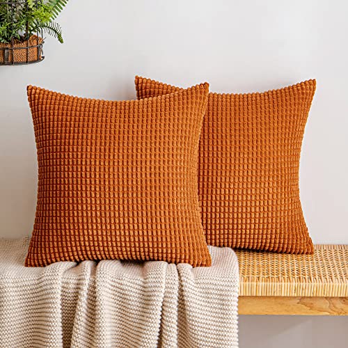 EMEMA Kordsamt Kissenbezug Herbst Granulat Dekorative Sofakissen Dekokissen Kissenbezüge Couchkissen Kissenhülle Weich Kissen Bezug Zierkissen für Sofa Couch Wohnzimmer 2er Set 40x40 cm Karamell von EMEMA