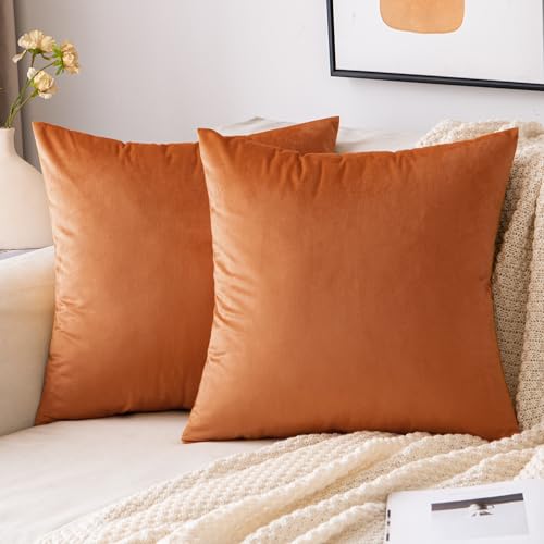 EMEMA Samt Kissenbezug Herbst Kissenhülle 40x40 cm Dekorative Dekokissen Orange Sofakissen Lendenkissen Wurfkissenbezug mit Verstecktem Reißverschluss Schlafzimmer Sofa 2er Set EMEMA Samt Kissenbezug Herbst Kissenhülle 40x40 cm Dekorative Dekokissen Orange Sofakissen Lendenkissen Wurfkissenbezug mit Verstecktem Reißverschluss Schlafzimmer Sofa 2er Set von EMEMA
