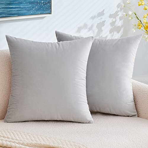 EMEMA Samt Kissenbezug Kissenhülle Dekorative Dekokissen Sofakissen Lendenkissen Wurfkissenbezug mit Verstecktem Reißverschluss Schlafzimmer Sofa 2er Set 40x40 cm Grau Weiß von EMEMA