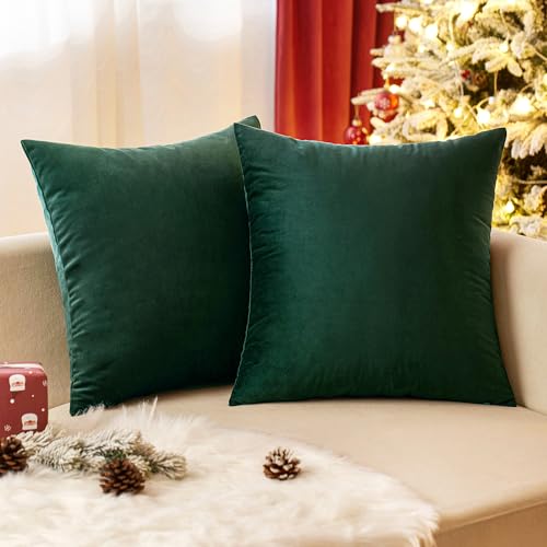 EMEMA Samt Kissenbezug Kissenhülle Dekorative Dekokissen Sofakissen Lendenkissen Wurfkissenbezug mit Verstecktem Reißverschluss Sofa Schlafzimmer 2er Set 50x50 cm Dunkelgrün von EMEMA