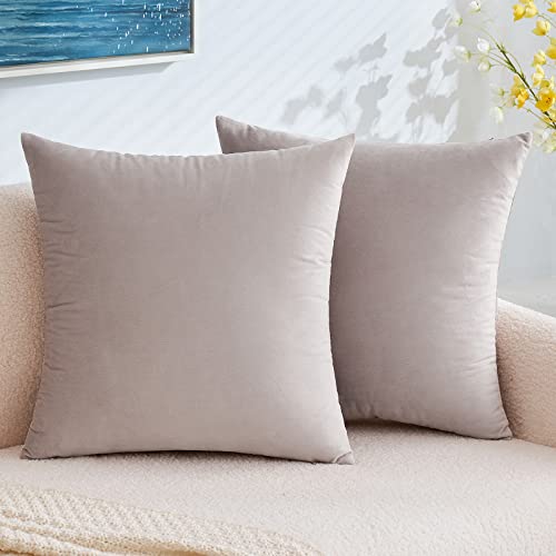 EMEMA Samt Kissenbezug Kissenhülle Dekorative Dekokissen Sofakissen Lendenkissen Wurfkissenbezug mit Verstecktem Reißverschluss Schlafzimmer Sofa 2er Set 50x50 cm Heart Wood von EMEMA