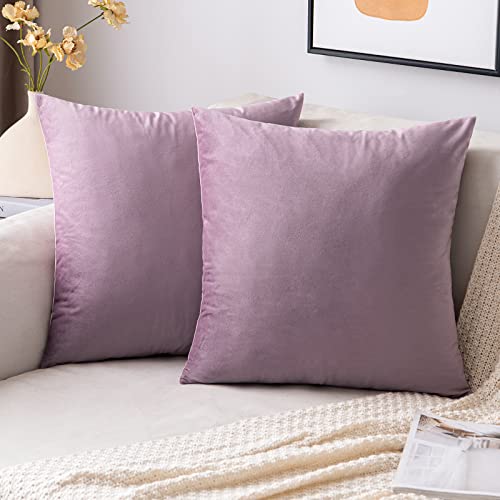 EMEMA Samt Kissenbezug Kissenhülle Dekorative Dekokissen Sofakissen Lendenkissen Wurfkissenbezug mit Verstecktem Reißverschluss Schlafzimmer Sofa 2er Set 50x50 cm Pink Lila von EMEMA