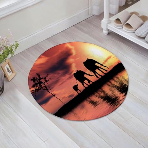 EMFSLA rutschfest Badezimmer Badeteppiche,Weich Hochflor Saugfähig Badvorleger Waschbar Flauschige Mikrofaser Badematte,Elefantensilhouetten auf einem Fluss Afrika Tiere Tierwelt Abenteuerla,60x60 cm von EMFSLA