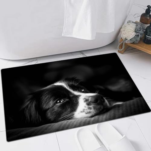 EMFSLA rutschfest Badezimmer Badeteppiche,Weich Hochflor Saugfähig Badvorleger Waschbar Flauschige Mikrofaser Badematte,Emotionsfoto mit schwarz-weißem Border Collie,40x60 cm von EMFSLA