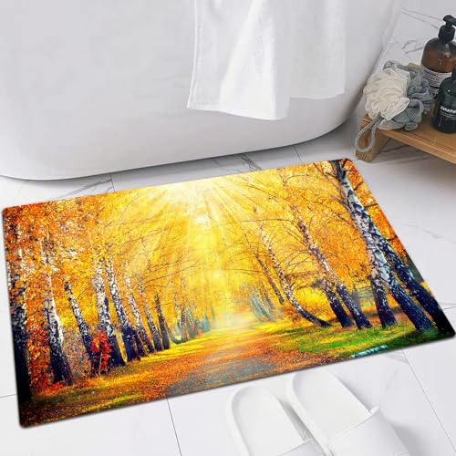 EMFSLA rutschfest Badezimmer Badeteppiche,Weich Hochflor Saugfähig Badvorleger Waschbar Flauschige Mikrofaser Badematte,Herbst. Fallen. Herbstlicher Park. Herbstbäume und Blätter in Sonnenst,40x60 cm von EMFSLA
