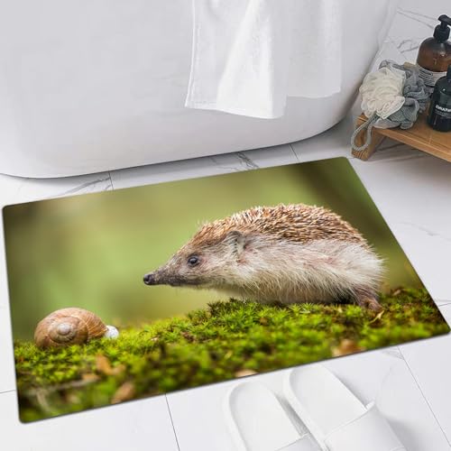 EMFSLA rutschfest Badezimmer Badeteppiche,Weich Hochflor Saugfähig Badvorleger Waschbar Flauschige Mikrofaser Badematte,Igel mit Schnecke,40x60 cm von EMFSLA