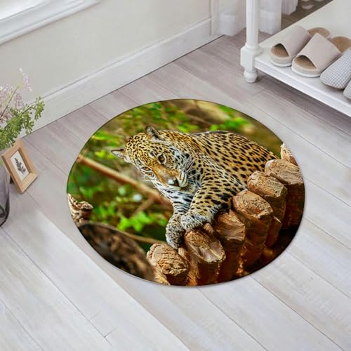 EMFSLA rutschfest Badezimmer Badeteppiche,Weich Hochflor Saugfähig Badvorleger Waschbar Flauschige Mikrofaser Badematte,Leopard auf einem Hintergrund aus Zweigen und Blättern im Zoo,60x60 cm von EMFSLA