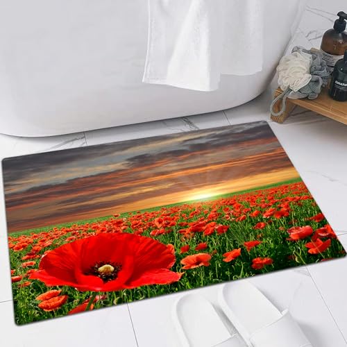 EMFSLA rutschfest Badezimmer Badeteppiche,Weich Hochflor Saugfähig Badvorleger Waschbar Flauschige Mikrofaser Badematte,Mohnblumen-Sonnenstrahl-Wolkenfeld,60x90 cm EMFSLA rutschfest Badezimmer Badeteppiche,Weich Hochflor Saugfähig Badvorleger Waschbar Flauschige Mikrofaser Badematte,Mohnblumen-Sonnenstrahl-Wolkenfeld,60x90 cm von EMFSLA