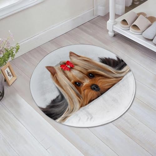 EMFSLA rutschfest Badezimmer Badeteppiche,Weich Hochflor Saugfähig Badvorleger Waschbar Flauschige Mikrofaser Badematte,Nahaufnahme Porträt eines Yorkshire-Terrier-Hundes, der auf weißem Hin,60x60 cm von EMFSLA