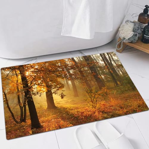 EMFSLA rutschfest Badezimmer Badeteppiche,Weich Hochflor Saugfähig Badvorleger Waschbar Flauschige Mikrofaser Badematte,Nebliger Morgen im Herbstwald,60x90 cm von EMFSLA