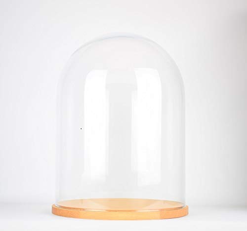 EMH Glasglocke mit Holzsockel, handgefertigt, rund, 31,5 cm von EMH