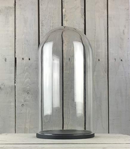 EMH Große Glasglocke mit schwarzem Holzsockel, Höhe 46 cm von EMH