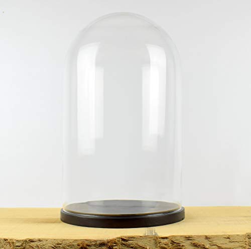 EMH Große handgefertigte Glaskuppel mit schwarzem Holzsockel, mundgeblasen, 51,5 x 26 cm von EMH