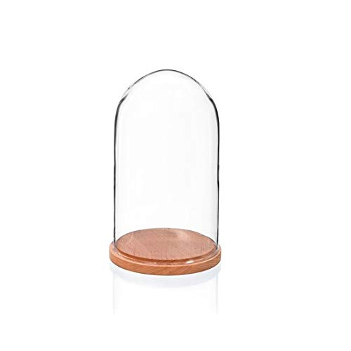 EMH Kleine Glasglocke mit natürlichem Buchenboden, Höhe 27,5 cm von EMH