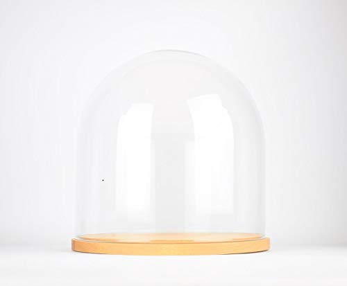 EMH Handgefertigte mundgeblasene klare runde Glasglocke mit Holzsockel, 25 x 25 cm von EMH