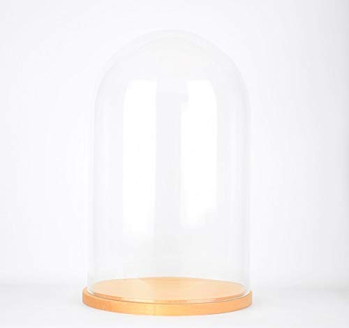 EMH Mundgeblasene Glasglocke mit natürlichem Boden, handgefertigt, 40 cm von EMH